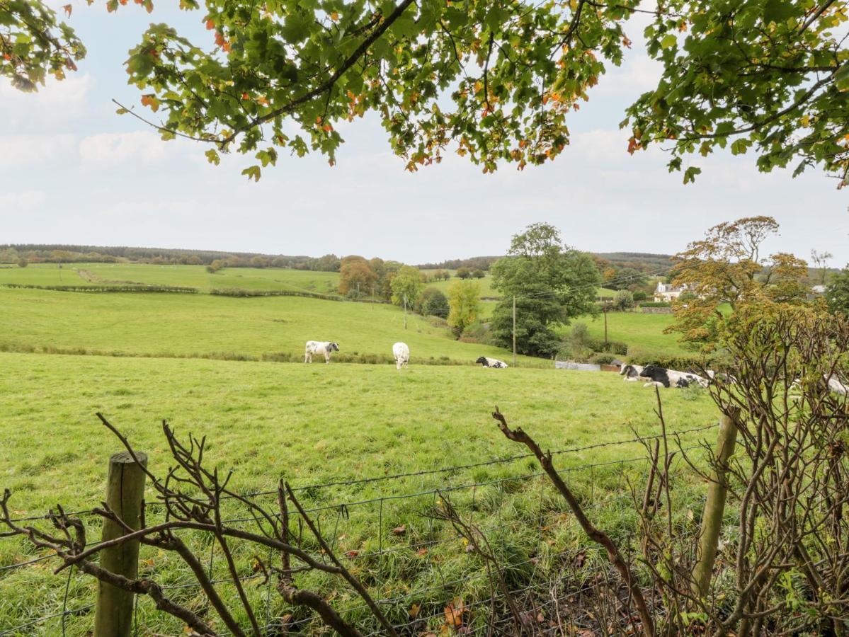 Whiteside Cottage Darvel Esterno foto